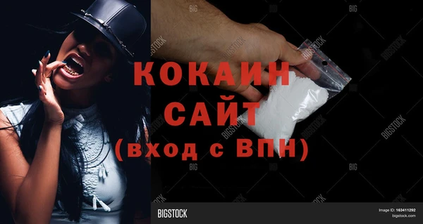 шишки Нязепетровск