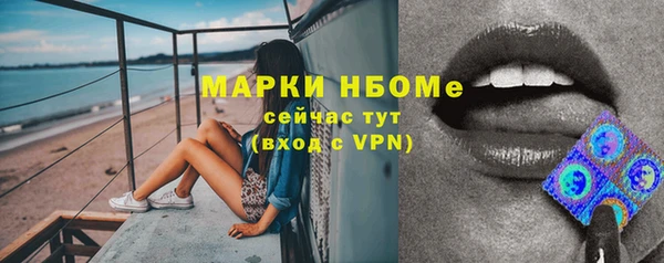 шишки Нязепетровск