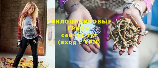 шишки Нязепетровск
