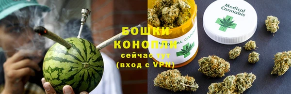 шишки Нязепетровск