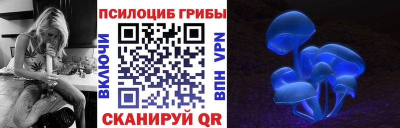 наркошоп  Краснозаводск  Псилоцибиновые грибы MAGIC MUSHROOMS 