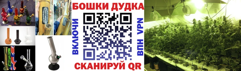 hydra зеркало  даркнет сайт  Краснозаводск  Бошки марихуана план 